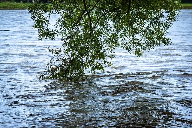 Obnova záplavových oblastí by zlepšila stav vody, ekosystémů a ochranu klimatu v Evropě