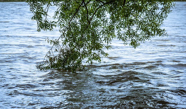 Obnova záplavových oblastí by zlepšila stav vody, ekosystémů a ochranu klimatu v Evropě