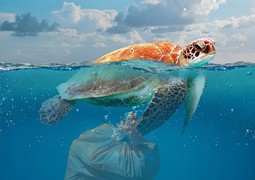 Plastový odpad v oceánech: Čí je to chyba?
