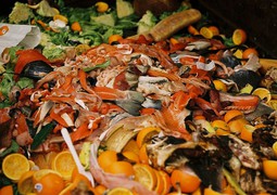 Potravinový odpad a ztráty ve veřejném stravování nejsou dramatické, ukázal výzkum