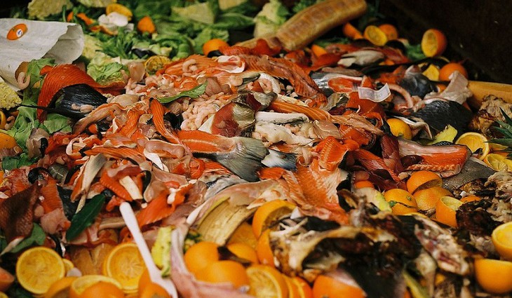 Potravinový odpad a ztráty ve veřejném stravování nejsou dramatické, ukázal výzkum