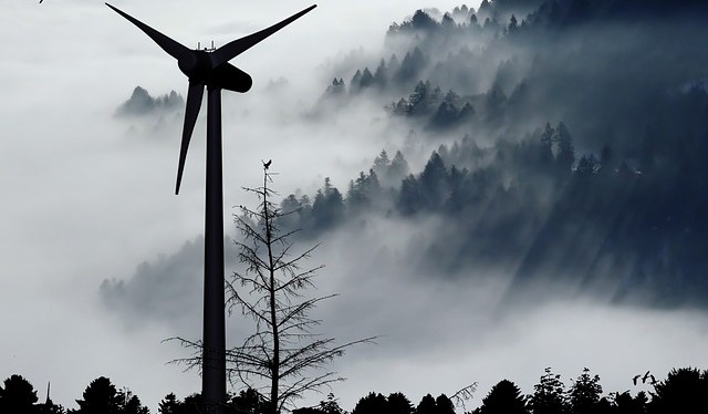 První polská aukce pro pevninské větrné elektrárny přinesla překvapivě nízkou cenu
