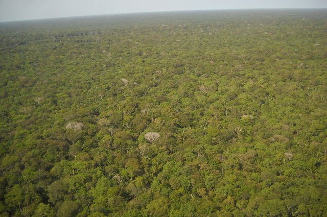 Registrace do databáze českých expertů pro oblast ochrany klimatu v rozvojových státech