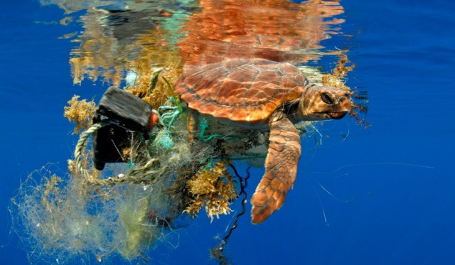 Siemens hledá cesty, jak vyčistit oceány od plastového odpadu
