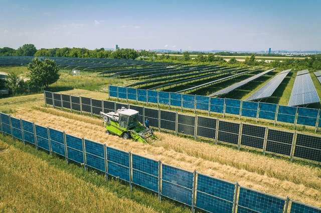 Sklize-na-agrivoltaickm-poli-Schafflerhofstrasse-Wien-EnergieRaphael-Faschang-4