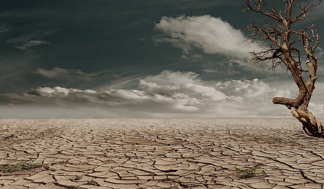 Světový den boje proti suchu a rozšiřování pouští