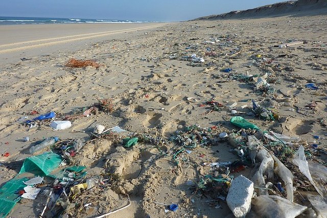 Světový den životního prostředí připomíná, že každý rok do oceánů vyhodíme 8 milionů tun plastů