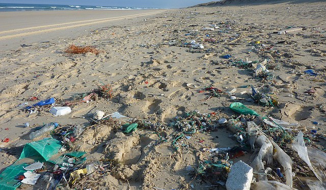 Světový den životního prostředí připomíná, že každý rok do oceánů vyhodíme 8 milionů tun plastů