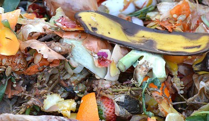Tesco chce přes crowdfunding podpořit využívání potravinového odpadu