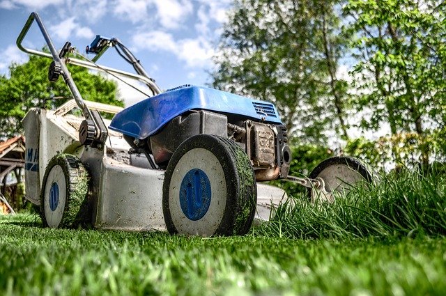 Trávníky potřebují méně sečení a větší rozmanitost. Lépe nám pomůžou snášet sucho a klimatické změ