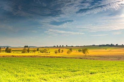 Unijní seznam invazních nepůvodních druhů se rozšířil o 12 nových druhů