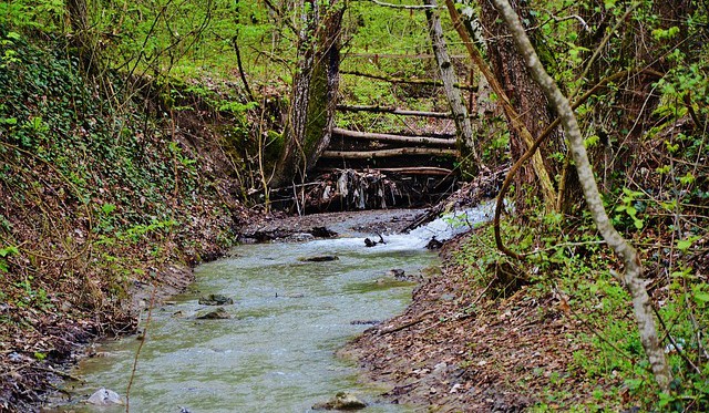 VRACÍME VODU LESU: První bilance největšího vodohospodářského programu Lesů České republiky