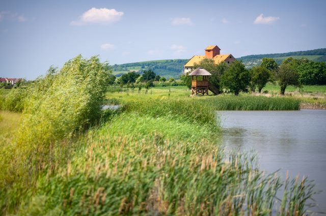 V boji proti změně klimatu pomůže zadržování vody