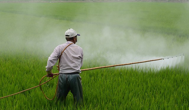 Varování spotřebitelům: zakázaný pesticid carbofuran ve 2t goji z Číny
