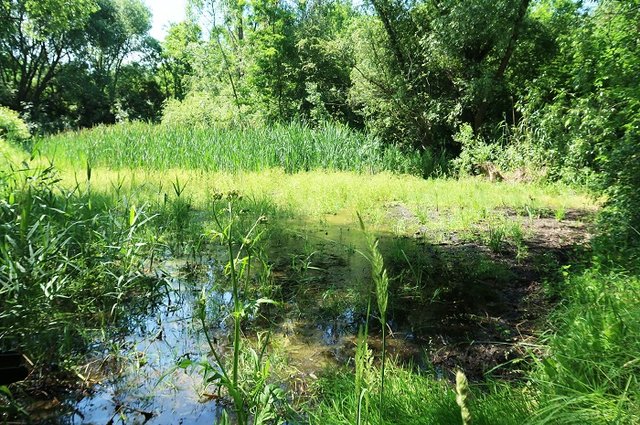 Veolia a Český svaz ochránců přírody vrací společně vodu přírodě