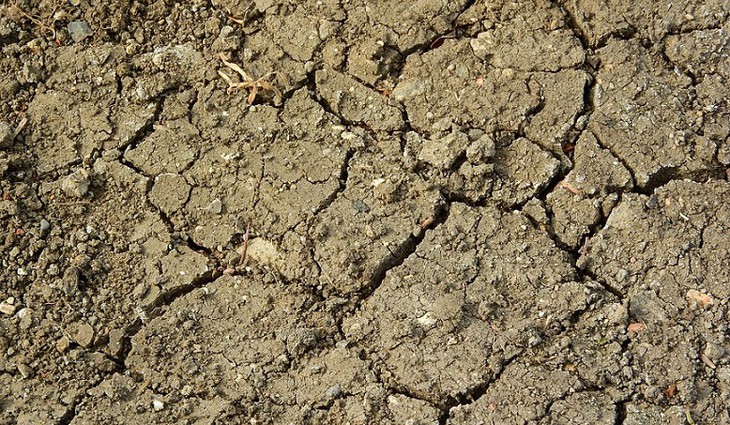 Vláda dnes schválila novelu vodního zákona pro boj se suchem