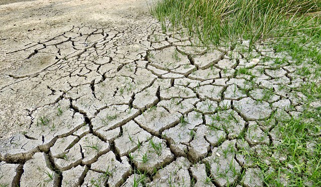 Vláda schválila Koncepci na ochranu před následky sucha pro území České republiky