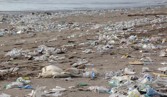 Zásadní význam při řešení krizové situace v souvislosti s plastovými odpady má prevence
