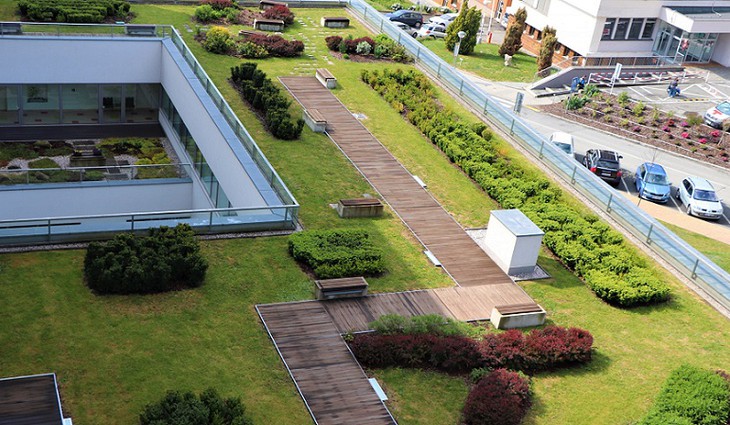 Zelená střecha Onkologického pavilonu Fakultní nemocnice Plzeň získala cenu veřejnosti a především