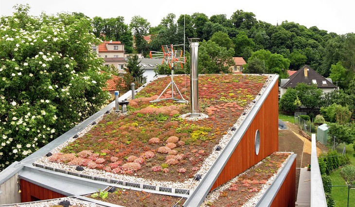 Zelené střechy: Mnoho pozitivních funkcí, které nelze uplatnit všude