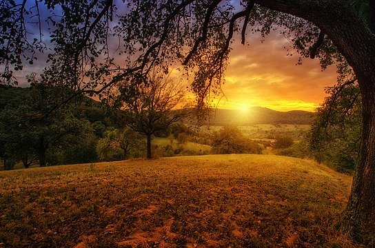 Změny u průběžných výzev na ochranu přírody a krajiny