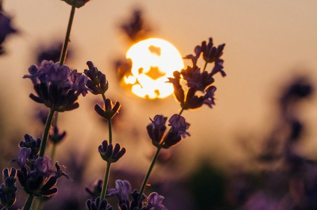 aaron-burden-BHsj_hJ3aNg-unsplash