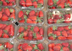 albanycolley-food-2725415_640