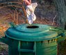 analogicus-garbage-4090382_640