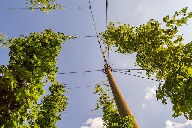 andre-klimke-qCtoja13wLw-unsplash