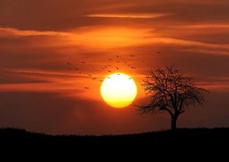 bessi-sunset-742744_640