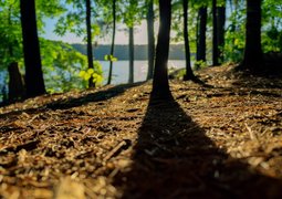 brad-huchteman-O93THGX6dBw-unsplash