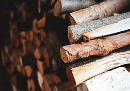 cecigre-by-9827953_640