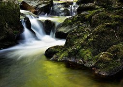 christian_birkholz-stream-204398_640