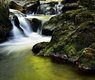 christian_birkholz-stream-204398_640