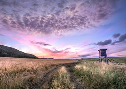 clickerhappy-sunset-7394697_640
