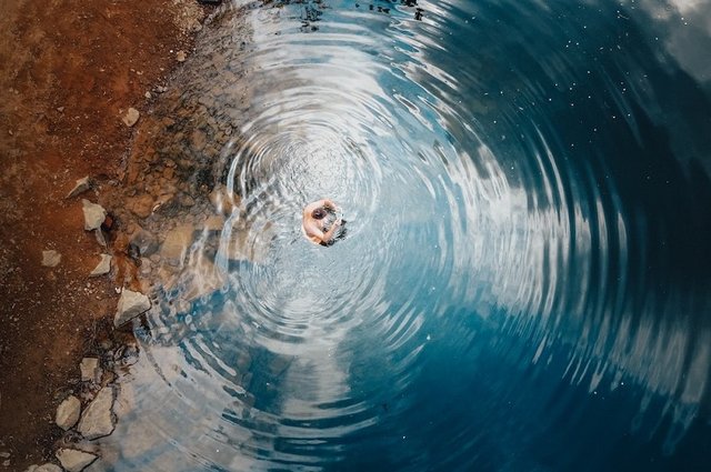 daniel-gondor-wkjZIkxqdk0-unsplash