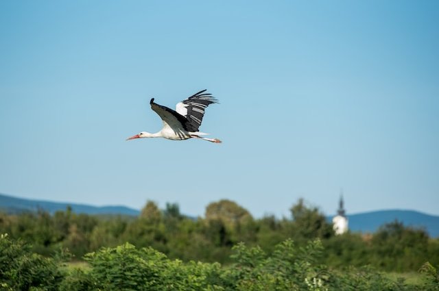 davor-denkovski-zBxhsb0Od-E-unsplash