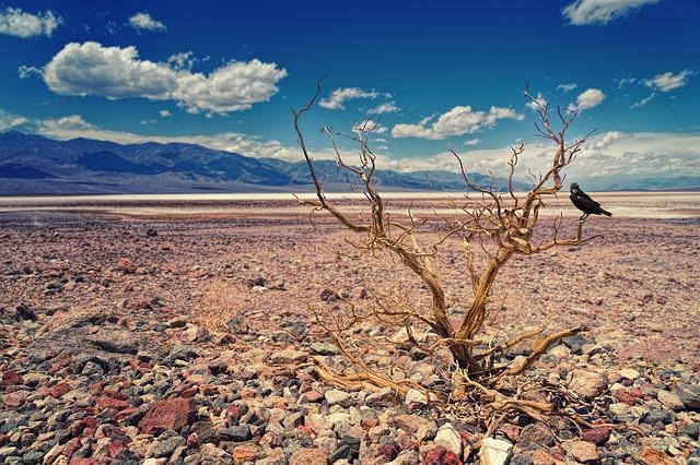 death-valley-gea1dc9322_640.jpg