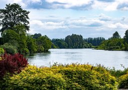 debannja-river-8018379_640