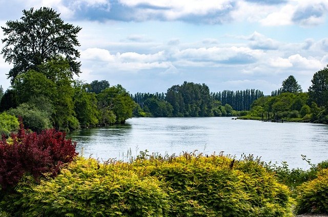debannja-river-8018379_640
