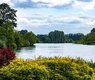 debannja-river-8018379_640