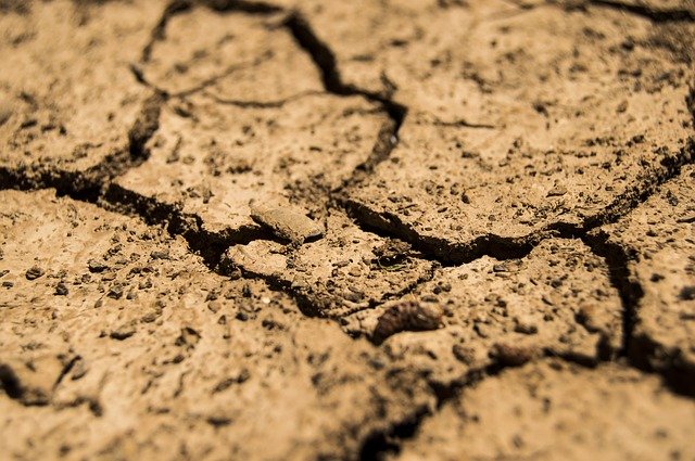 drought-780088_640.jpg