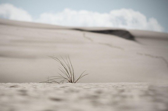 dunes-3580666_640
