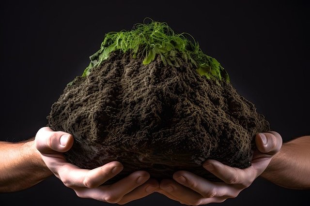 environment-7864984_640