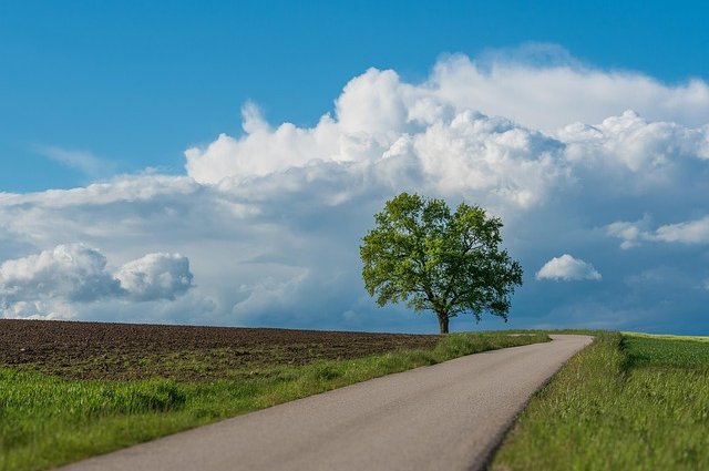 franz26-landscape-6394751_640