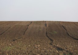 goranh-agriculture-7413656_640