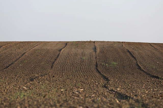 goranh-agriculture-7413656_640