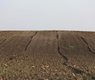 goranh-agriculture-7413656_640