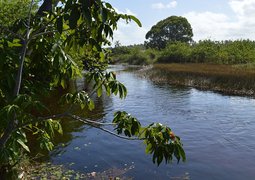gustavoboulhosa-in-imbassai-river-196079_640