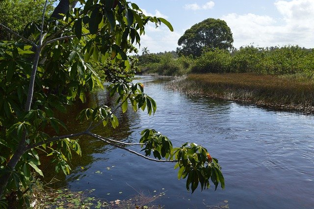 gustavoboulhosa-in-imbassai-river-196079_640